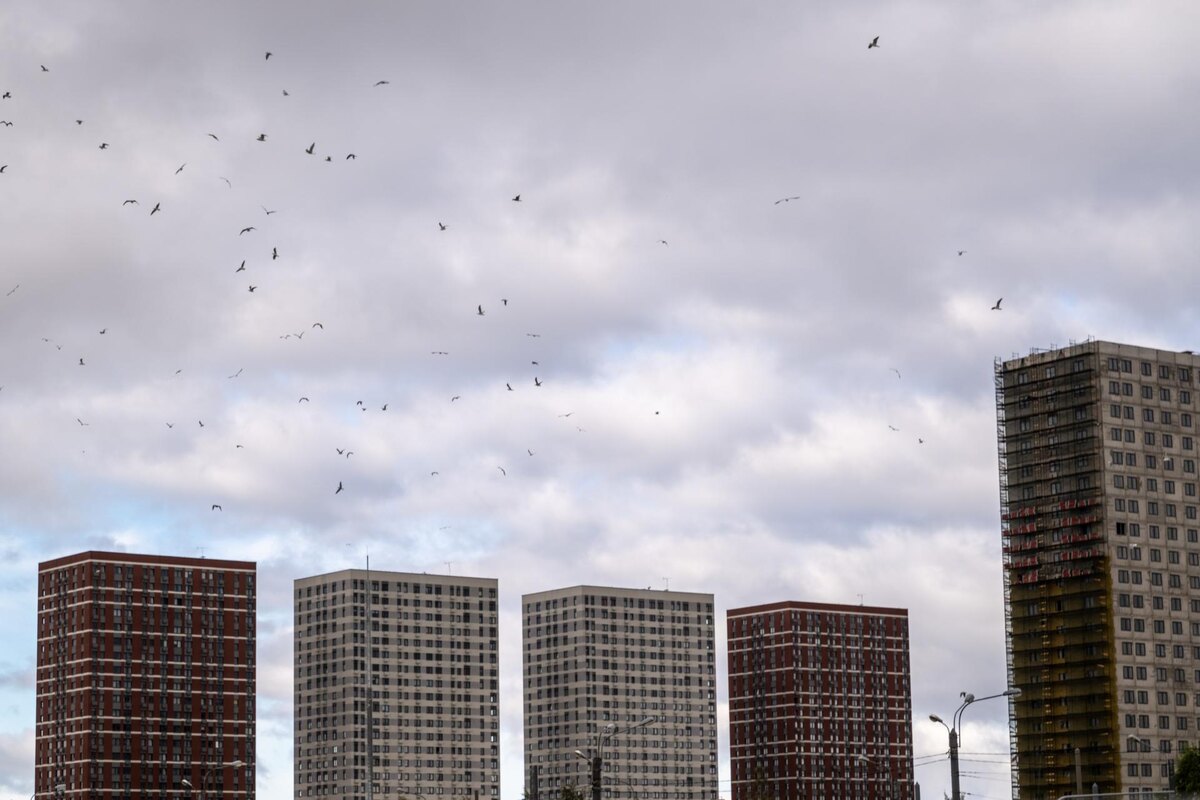 Автор фото: Михаил Тихонов / "Деловой Петербург".