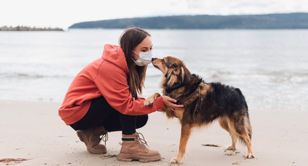 Какие животные лечат и как?