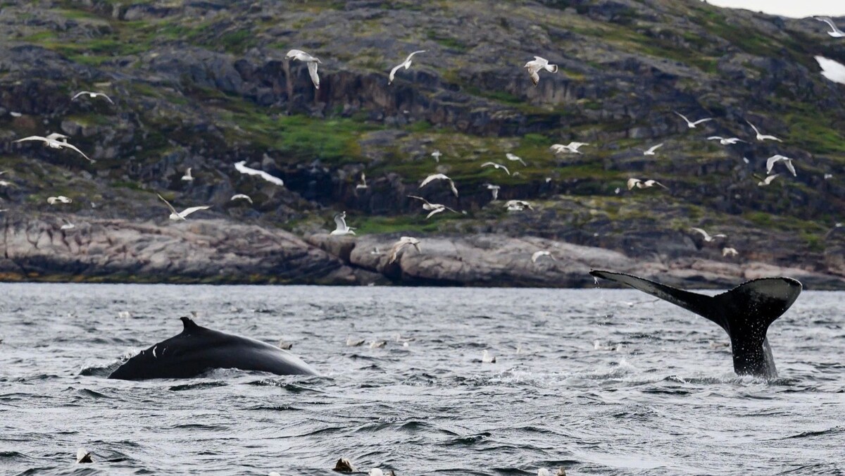    Фото: предоставлено из личного архива Андрея Понамарёва