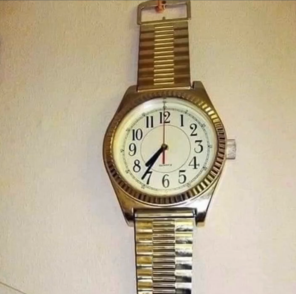 Фотография взята из открытых источников