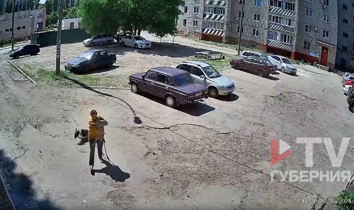  Фото: скрин видео