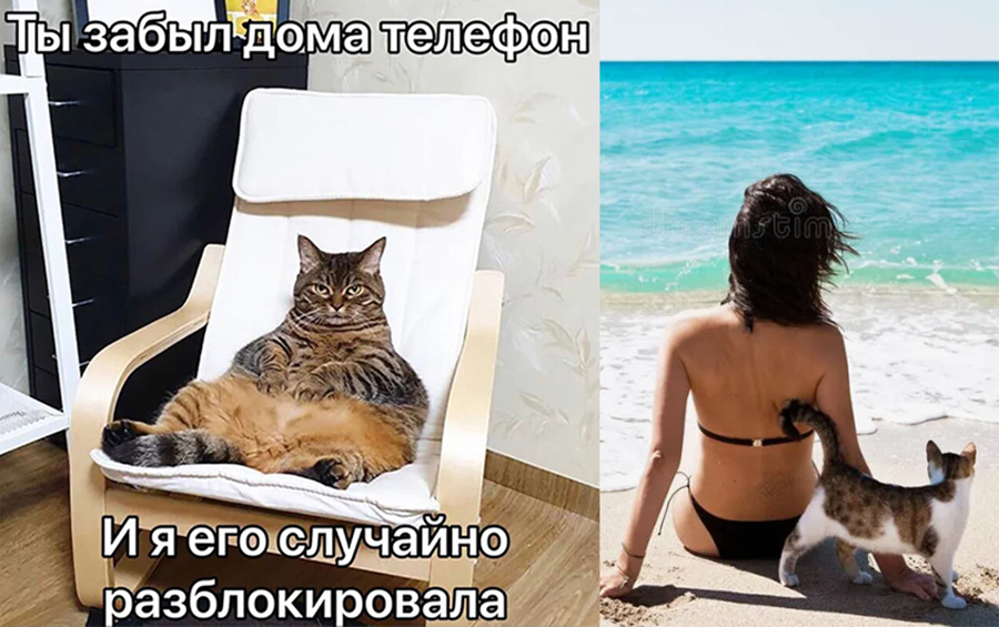 Котяша и пляж