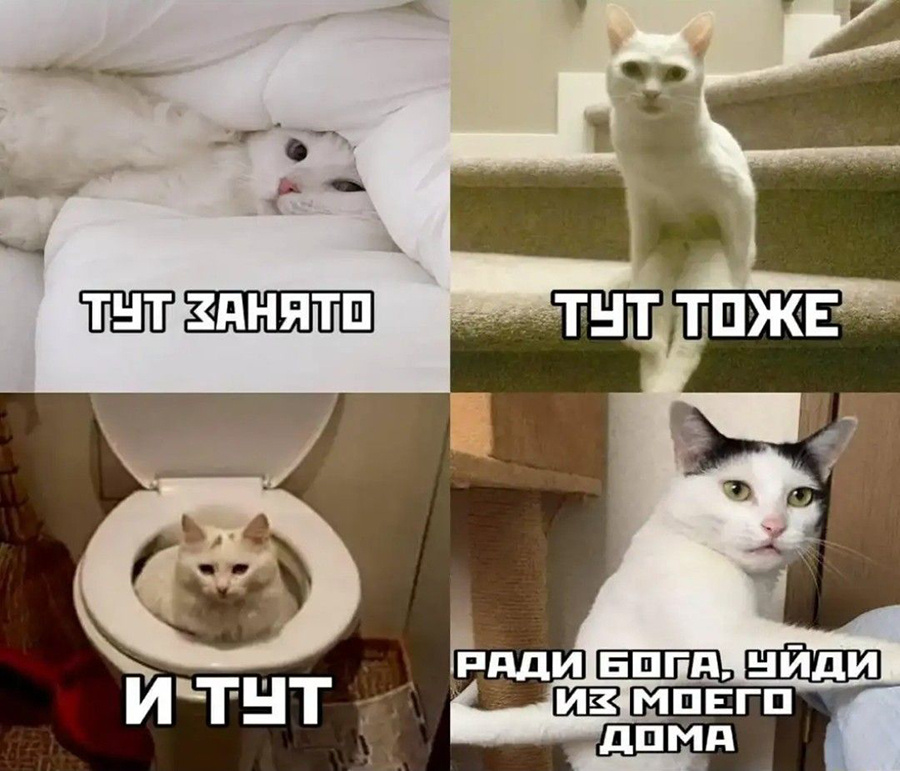 Это мой дом