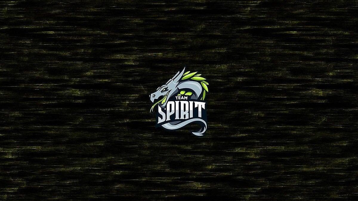 Источник: социальные сети Team Spirit