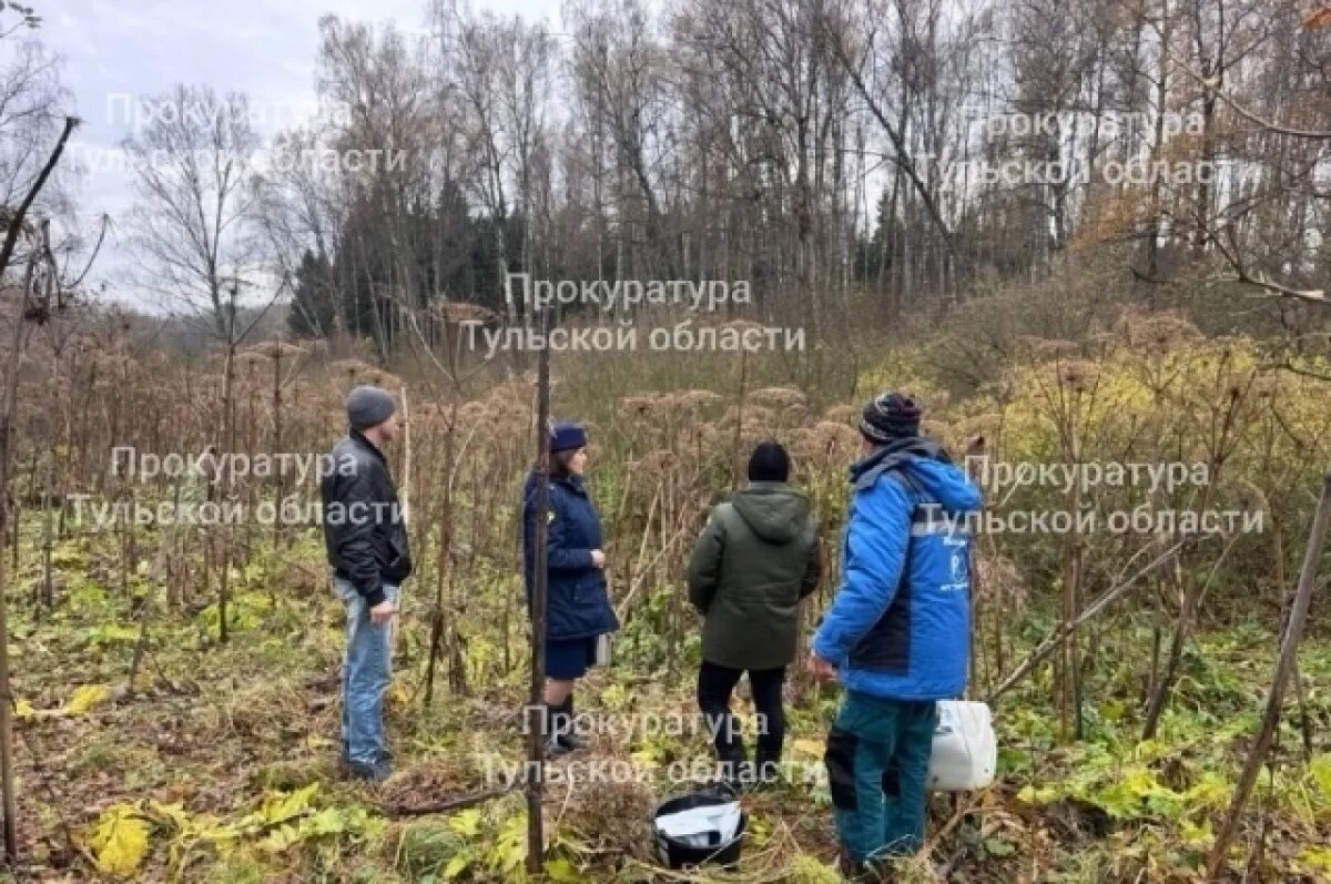    Сброс сточных вод в ручей обнаружили в Заокском районе