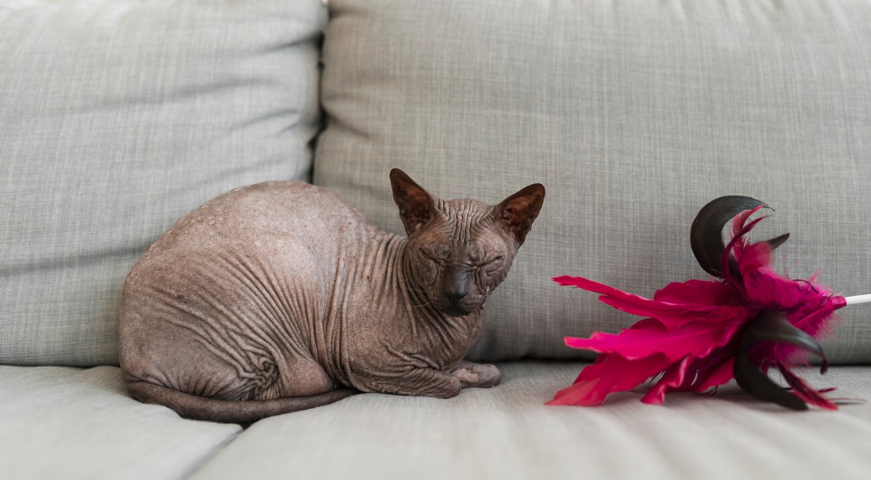 Худоба не равна здоровью: что делать, если ты скинни фэт?