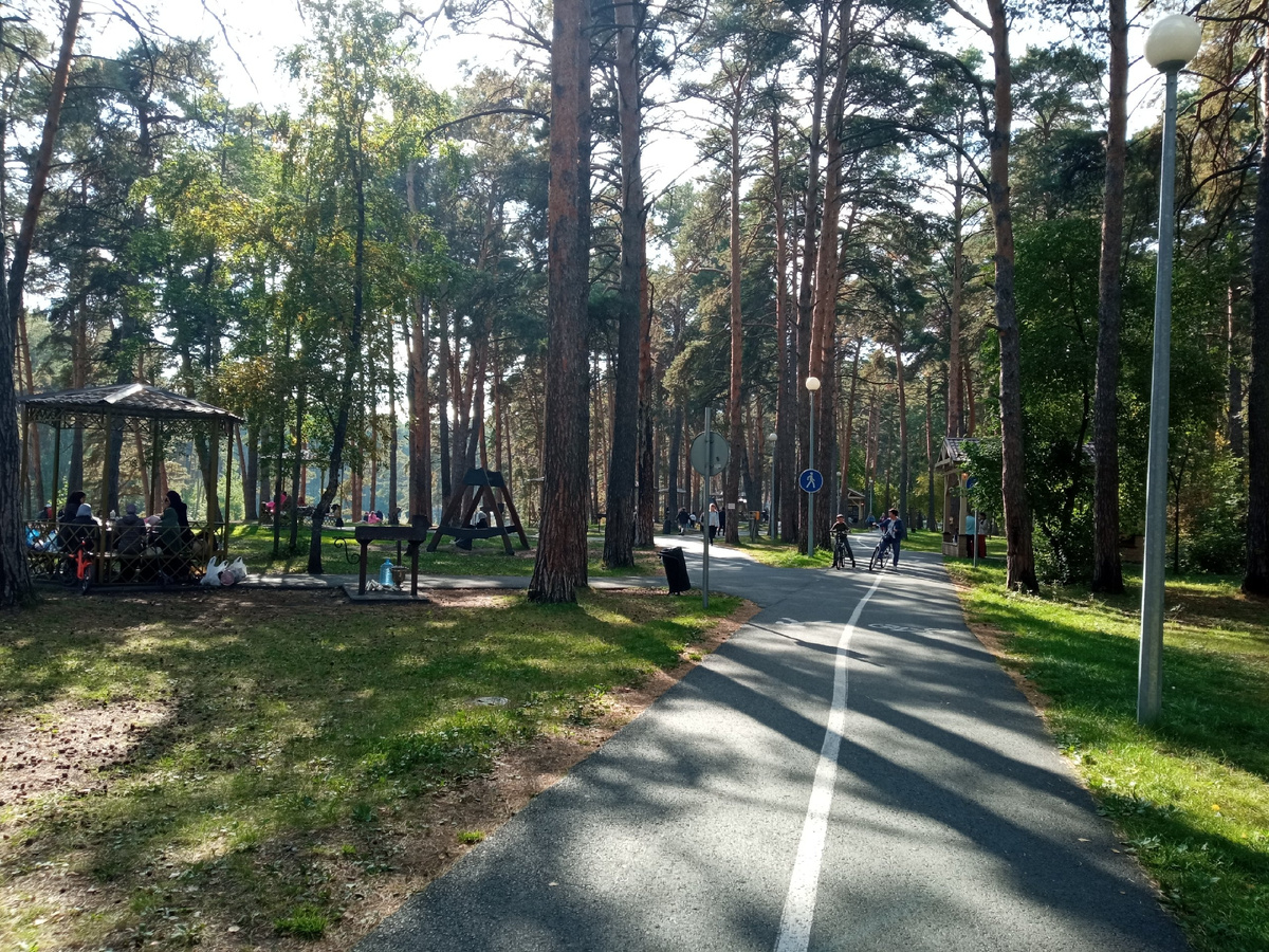 В Гилевской роще Тюмени