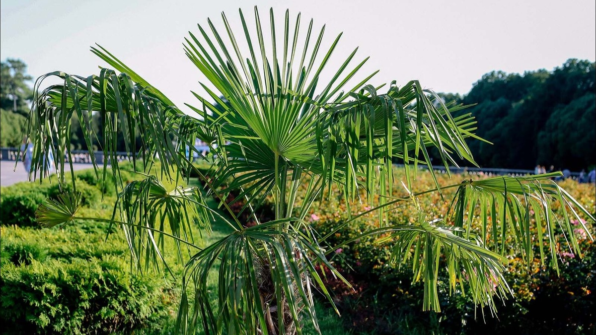 Фото: пресс-служба Департамента культуры города Москвы