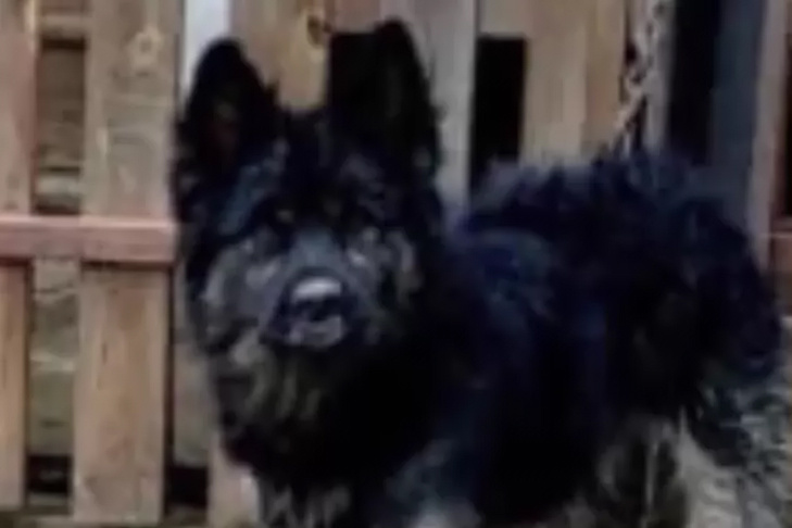    Фото "Бердск Онлайн"