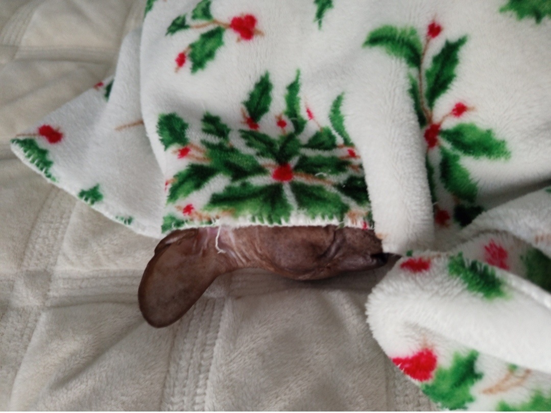 Спит ребёнок))