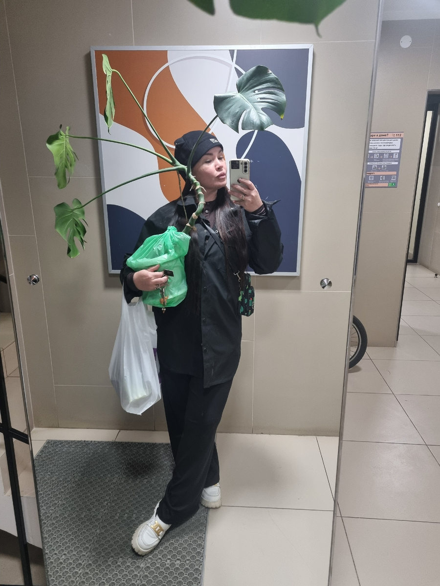 Вот такая красивая и взрослая монстера мне досталась в дар🌿 