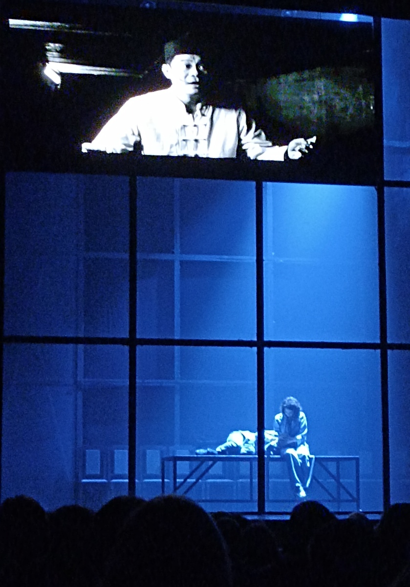 Фото со спектакля. Освещение во время спектакля было неяркое. Прошу, прощения за качество снимков. 