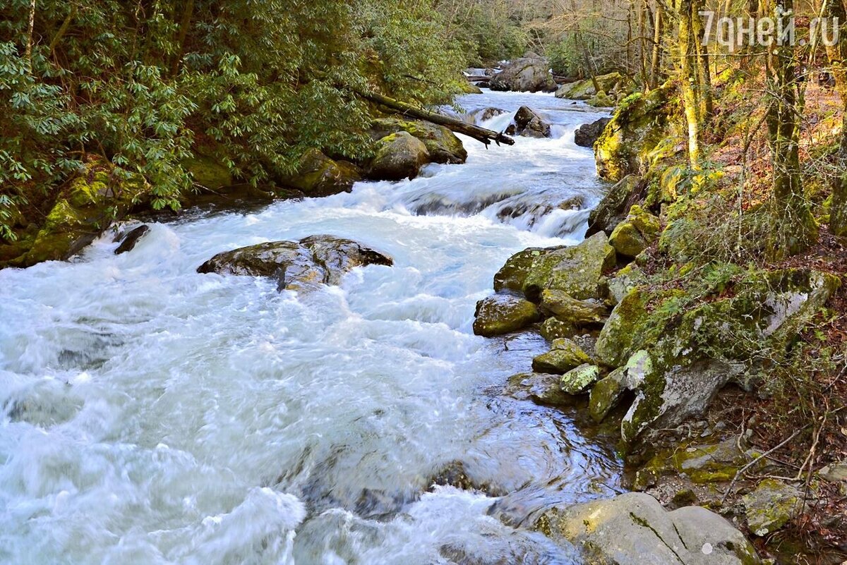    К чему снится река 123RF/legion-media.ru