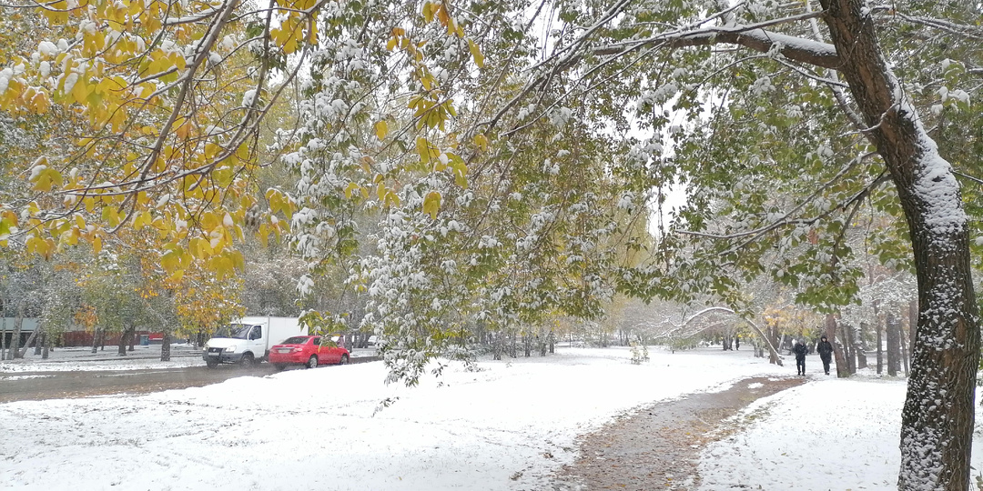29 октября. Бессонная ночь, и что я делаю, если с утра болит голова