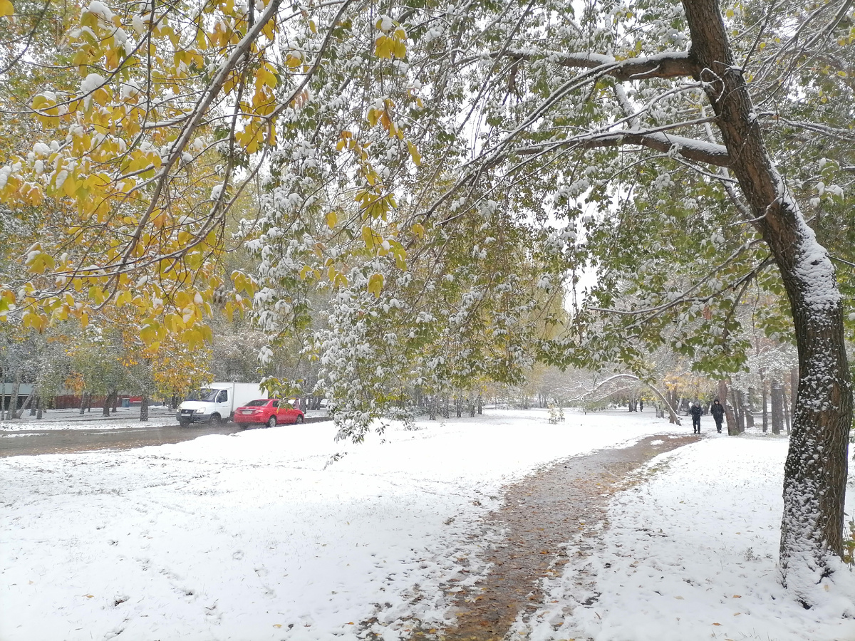 Вот так было у нас в Барнауле, когда выпадал осенний снег