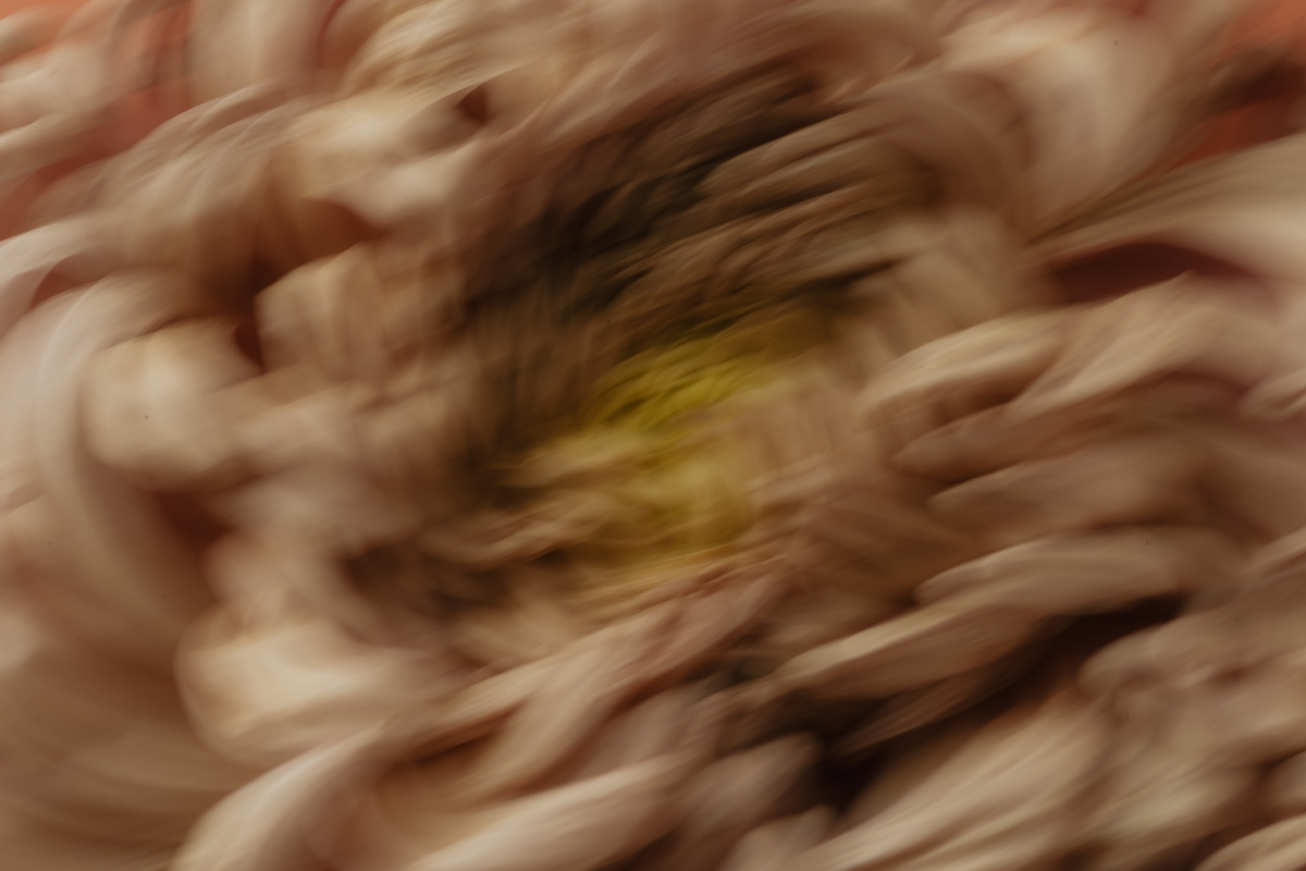 Телесные симптомы тревоги — это не признаки заболевания, а следствие активации эволюционно древней системы выживания — реакции «Бей, беги, замри» (Fight-Flight-Freeze response). Эта реакция запускается симпатической нервной системой и подготавливает организм к немедленным действиям перед воспринимаемой угрозой.