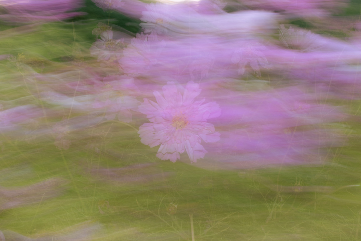 Невозможность распознать или описать телесные сигналы (состояние, известное как алекситимия или соматосенсорное отчуждение) является распространённой проблемой. Вместо того чтобы полагаться на прямые телесные ощущения, человек может использовать косвенные, проверяемые методы наблюдения и логический анализ.