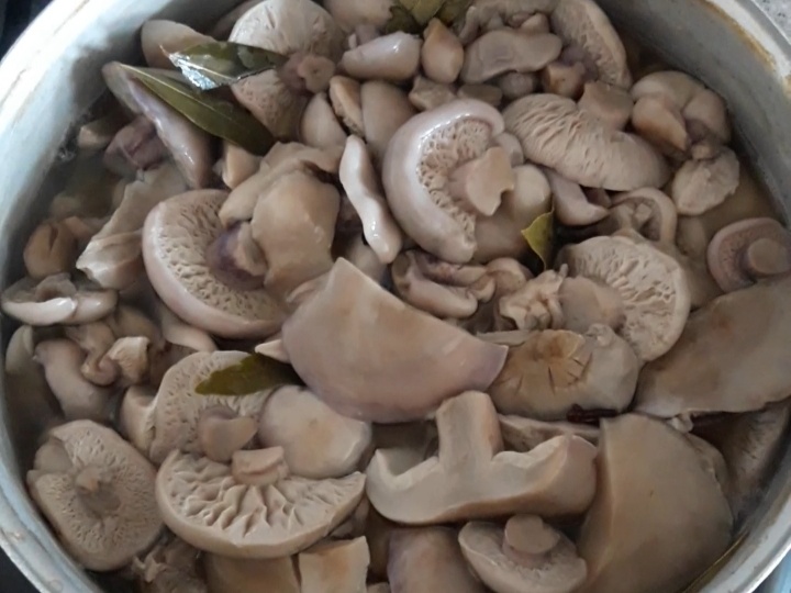 Маринованные синеножки: Простой рецепт на зиму и секреты хрустящих грибов