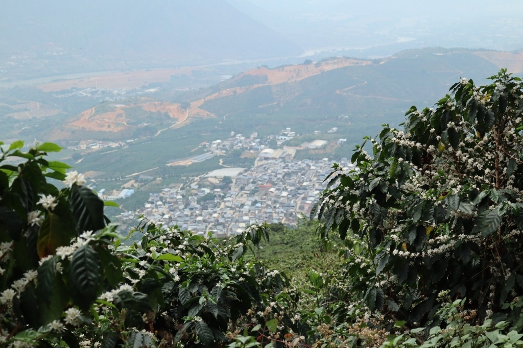 Г. Баошань в долине, окруженной плантациями