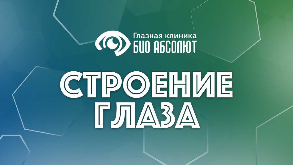 Глаз человека часто сравнивают с высокоточной фотокамерой, но это сравнение едва ли передает всю гениальность его устройства. В то время как даже самая совершенная техника требует смены объективов для съемки в разных условиях, наш глаз мгновенно и автономно адаптируется к яркому солнцу и сумраку, фокусируется на ближних и дальних объектах, передавая в мозг не плоскую картинку, а объемное, насыщенное деталями изображение. Понимание того, как устроен этот орган, — это ключ не только к осознанию причин тех или иных проблем со зрением, но и к признанию невероятной сложности живой природы. Если душа лежит к гуманитарным наукам, хорошие медики-офтальмологи, разбирающиеся в этой сложной системе, всегда найдут высокооплачиваемую и стабильную работу, но не инженерией единой. В эпоху стремительного развития ИИ и роботизации, все большим спросом пользуются специалисты, создающие аналоги живых систем, — биоинженеры и программисты, вдохновляющиеся, в том числе, и устройством человеческого зрения.

Эта статья представляет собой детальный экскурс в анатомию и физиологию зрительного аппарата. Мы не будем ограничиваться сухим перечислением частей, а рассмотрим глаз как целостную, динамическую систему, где каждый элемент играет свою незаменимую роль. Наша цель — разобрать его строение на составляющие, объяснить их функции и показать, как их слаженная работа рождает то, что мы называем зрением.

От внешних, видимых невооруженным взглядом структур мы перейдем к глубоко скрытым внутренним механизмам, отвечающим за преобразование световых волн в нервные импульсы. Мы изучим не только само глазное яблоко, но и его «обслуживающий персонал» — мышцы, веки и слезные железы, без которых главный орган не мог бы функционировать. Понимание этой архитектоники позволит по-новому взглянуть на ценность зрения и необходимость его беречь.