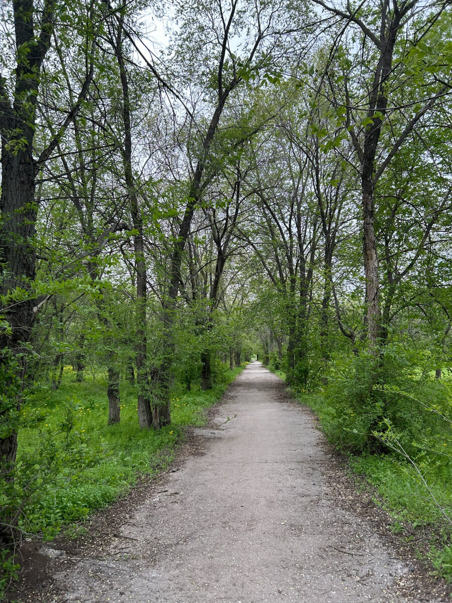    архив samaraonline24.ru