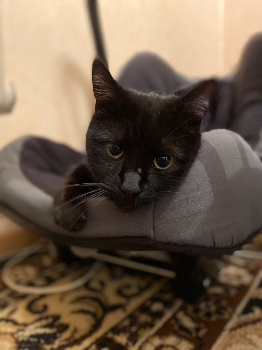 Боевой шрам