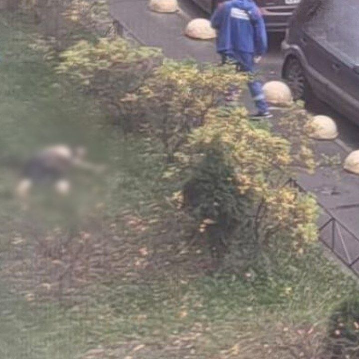 Место происшествия