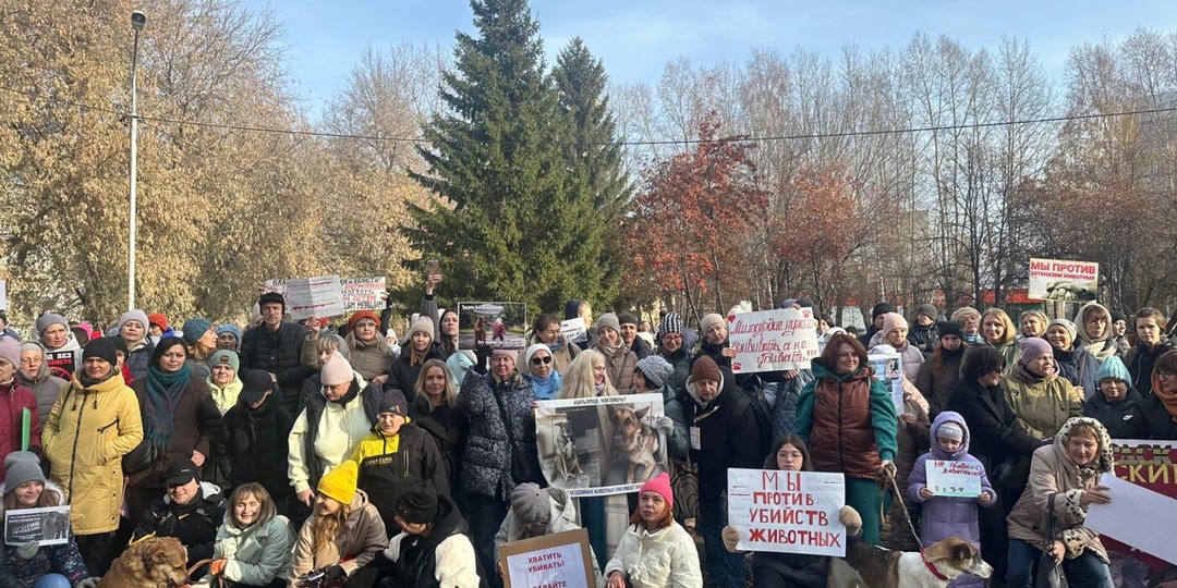 "Не хочу умирать": собака стала участницей пикета против эвтаназии бездомных животных в Новосибирской области