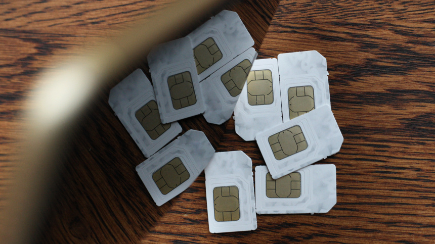    Фото: ИЗВЕСТИЯ/Юлия Майорова; 5-tv.ru