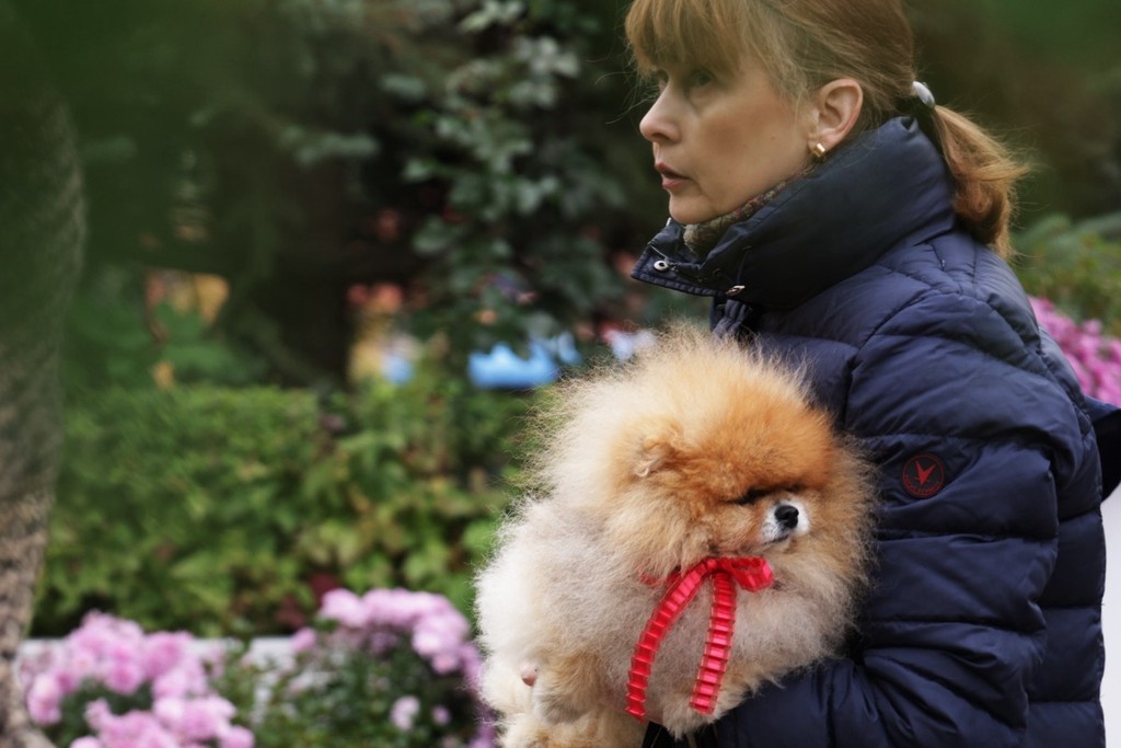    Фото © Анастасия Романова / Абзац