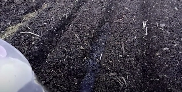 Календарь садовода-огородника: что нужно успеть сделать с 1 по 6 ноября 2025 года