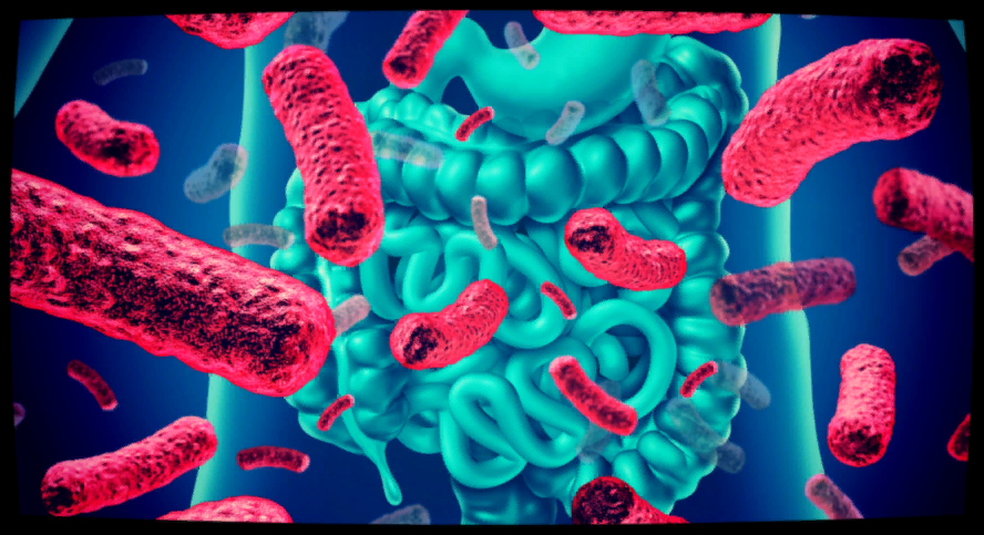 Микробиом «отвечает» за возрастные заболевания: молодость начинается в кишечнике