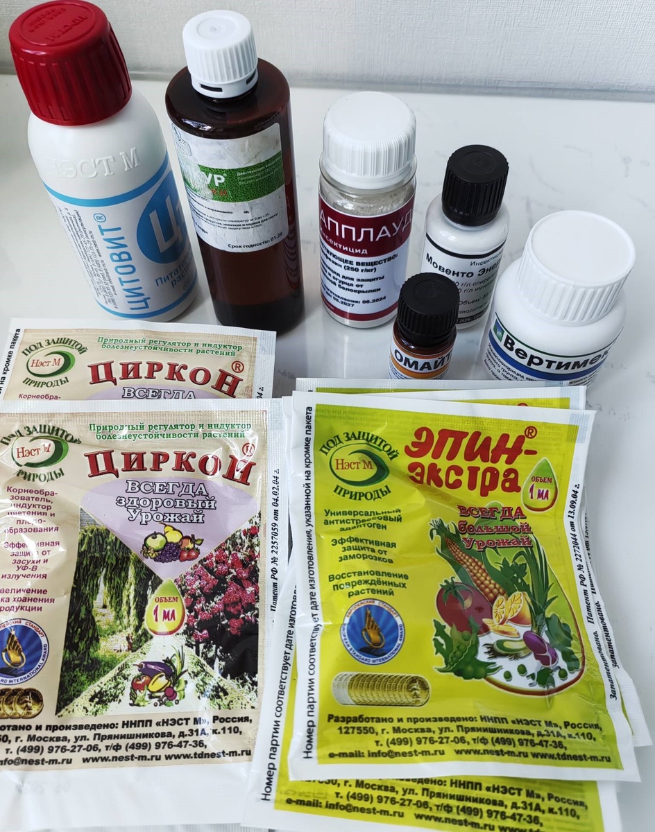 Препараты для моих растений. Фото автора.