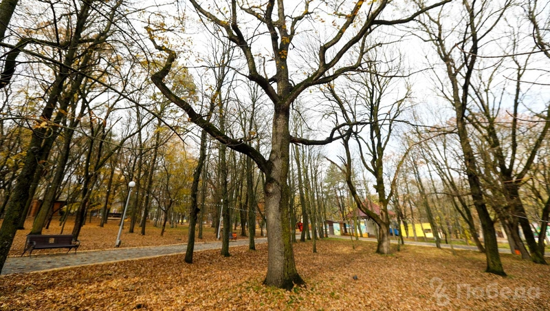      Фото: Эдуард Корниенко / ИА «Победа26»