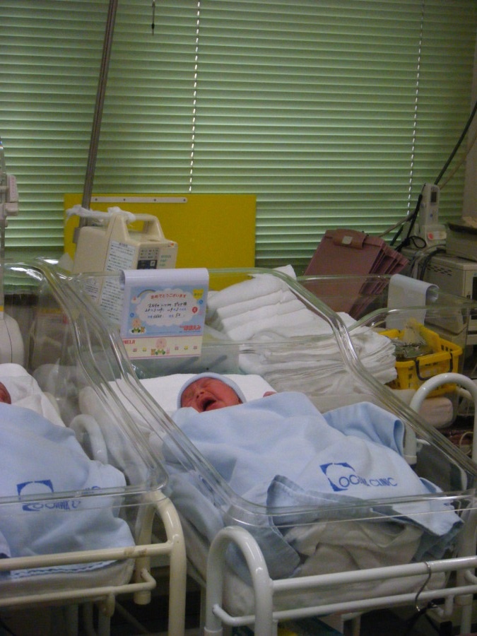 Фото: https://polinakatsuro.livejournal.com/1016.html, носит иллюстративный характер