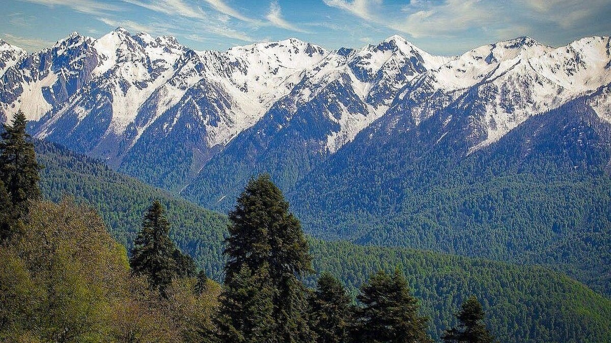    Фото: телеканал «Краснодар»