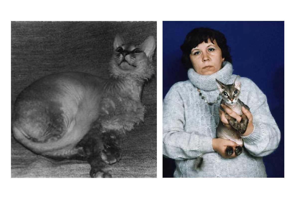 Чита, дочь Варвары, в детстве (слева) и взрослая (справа), с хозяйкой Ириной Немыкиной. Источник: https://cat.mau.ru/dsx/?p=article2