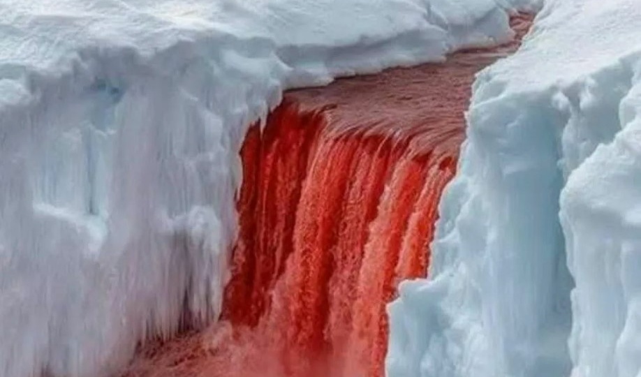 Под льдами Антарктиды: Пещеры с температурой +25°C, 400 озер и живые организмы