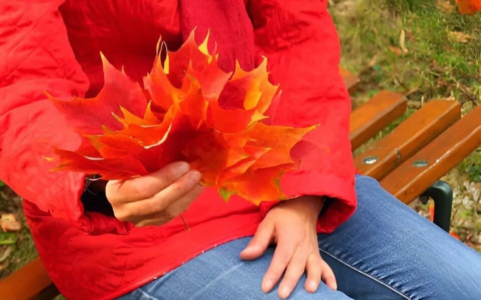    Теплая осень