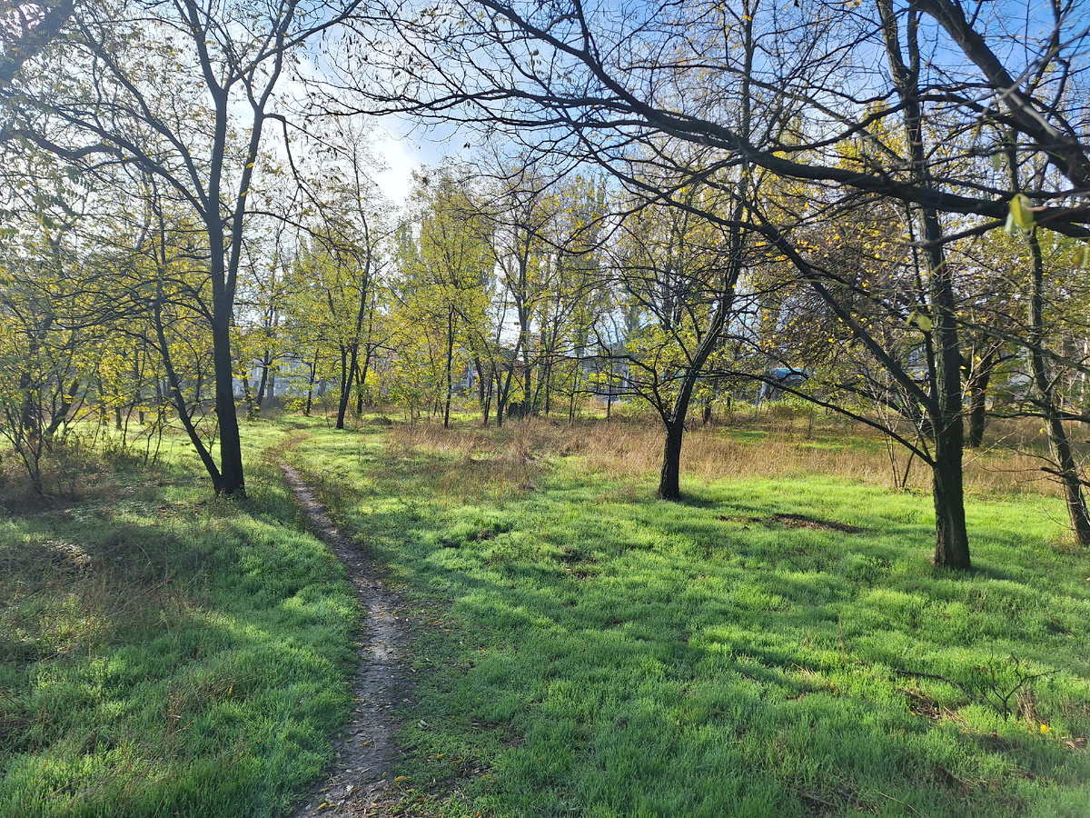 Фото автора.