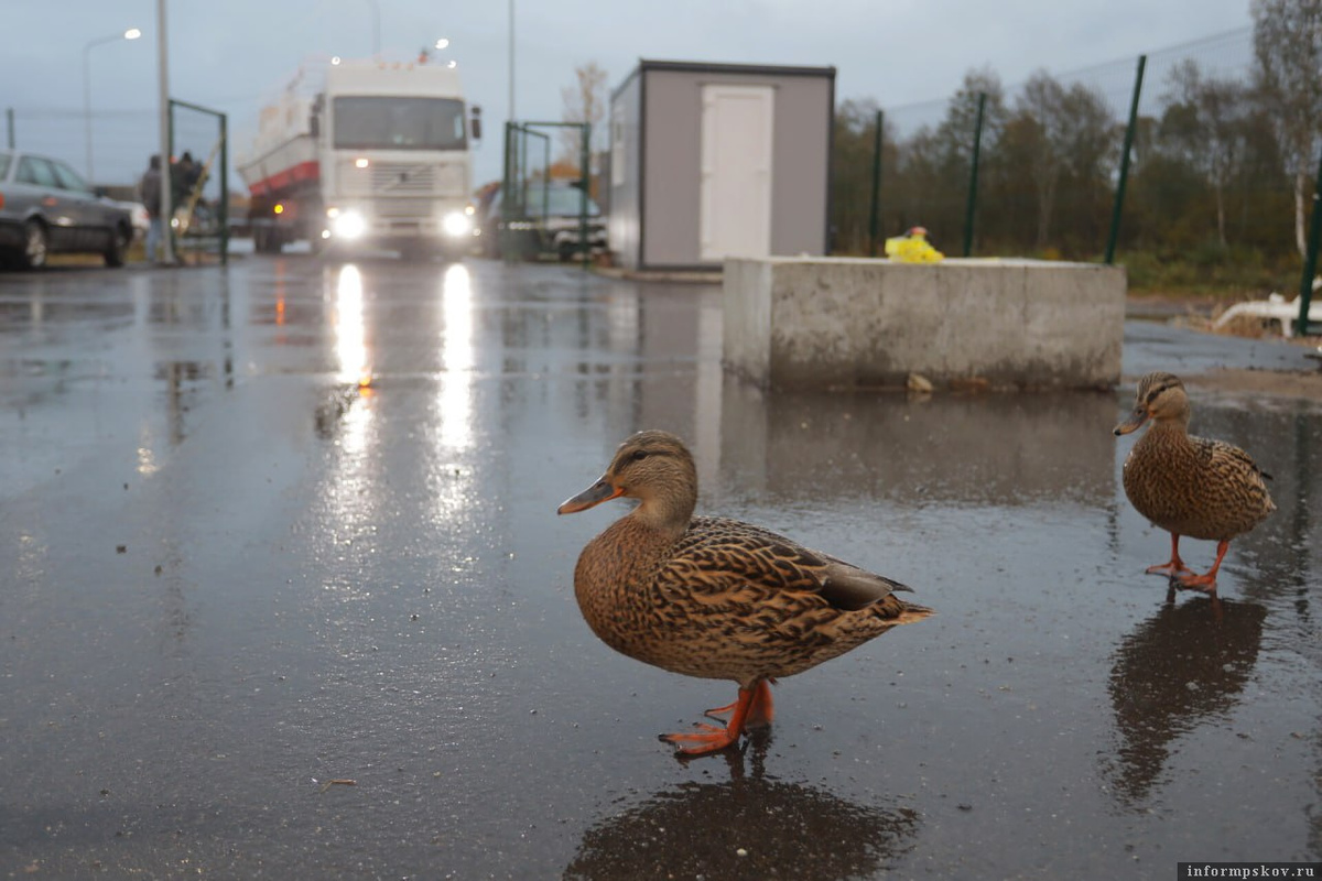 Фото: Андрей Степанов