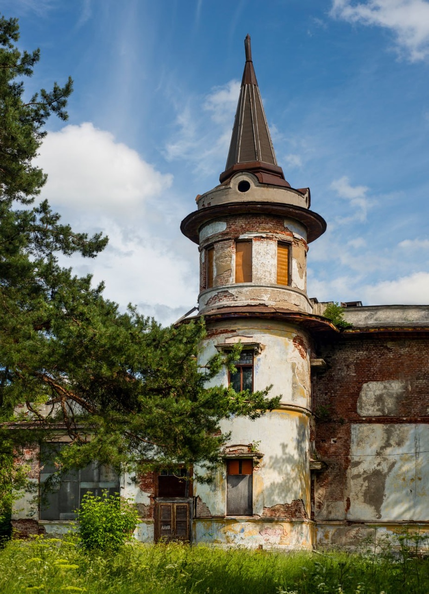 Фото: Елена Пестрикова