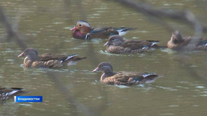    Источник фото: