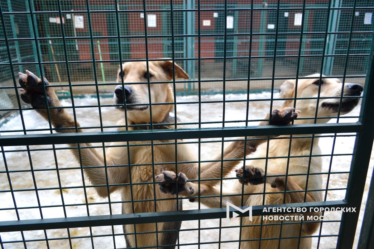 Фотограф: Анна Николаева 