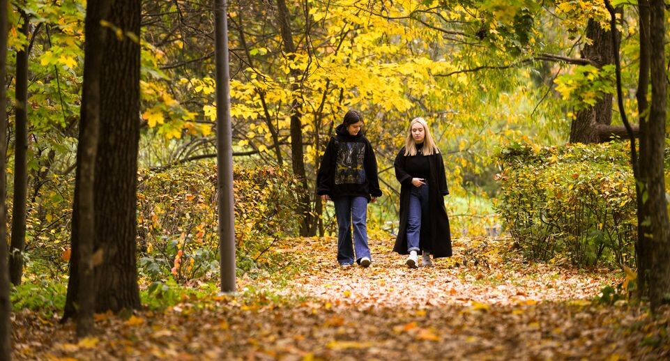    Медиасток.рф