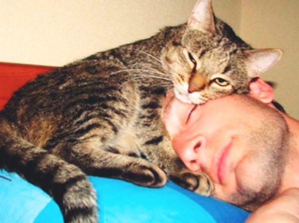 О чем хочет сказать кошка, когда спит около головы хозяина