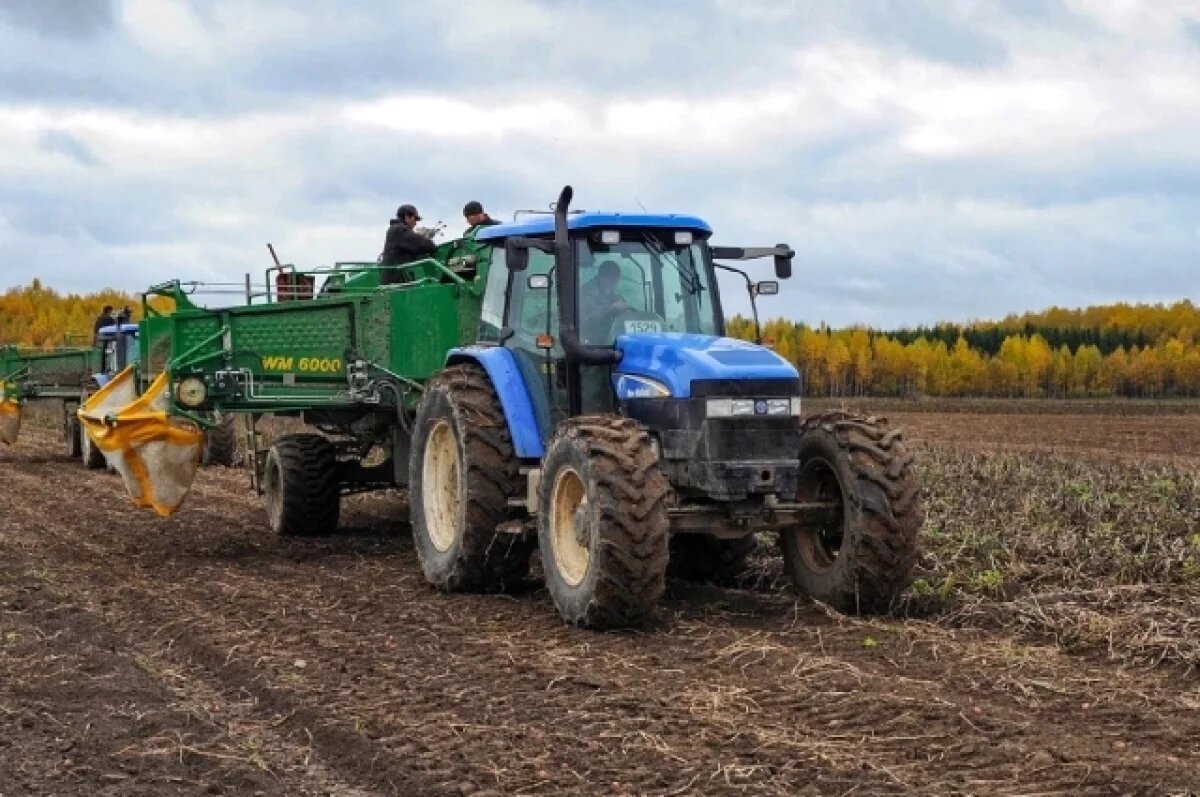    В Твери выросла урожайность зерновых и картофеля