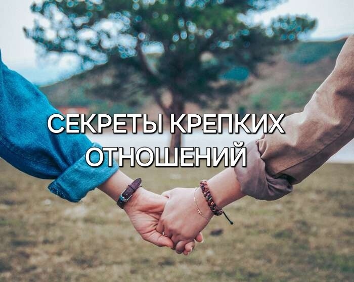 Источник яндекс фото