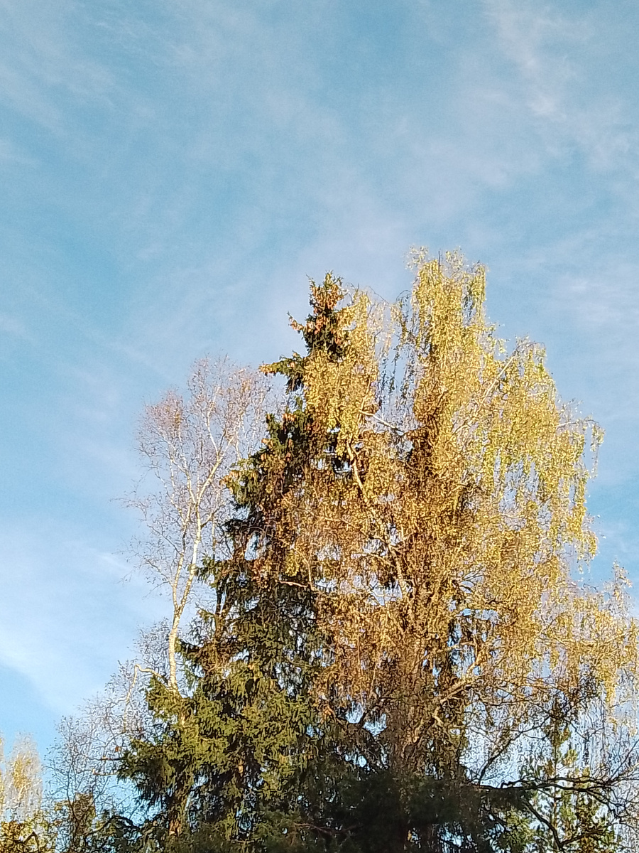 Фото автора. Природа всегда прекрасна