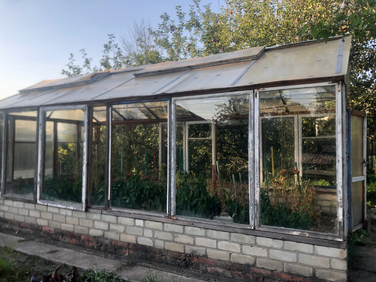 Теплица на участке - вещь незаменимая.